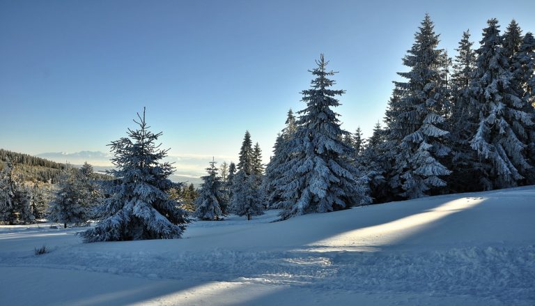 Dlaczego warto zarezerwować nocleg przez stayintatra.com?